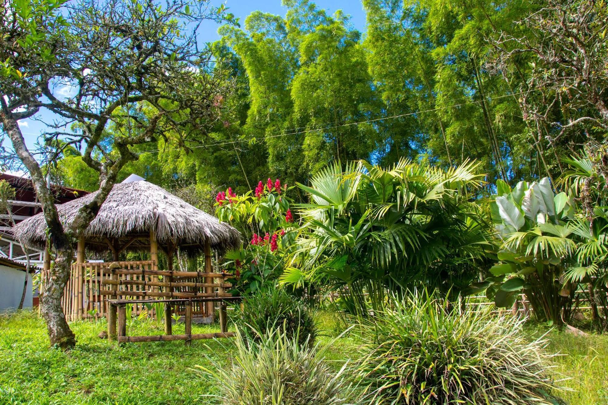 Secretos Del Eden Hotell Ruiosucio Exteriör bild